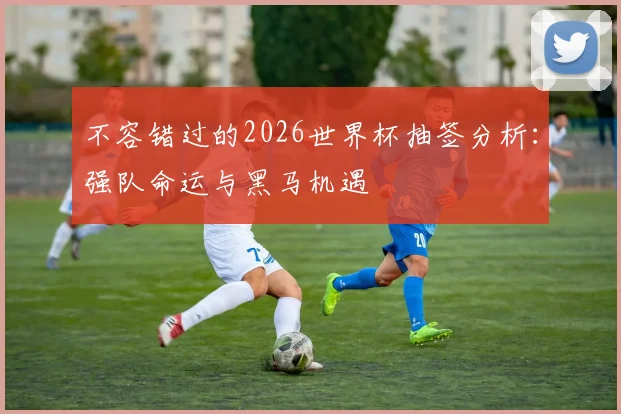 不容错过的2026世界杯抽签分析:强队命运与黑马机遇