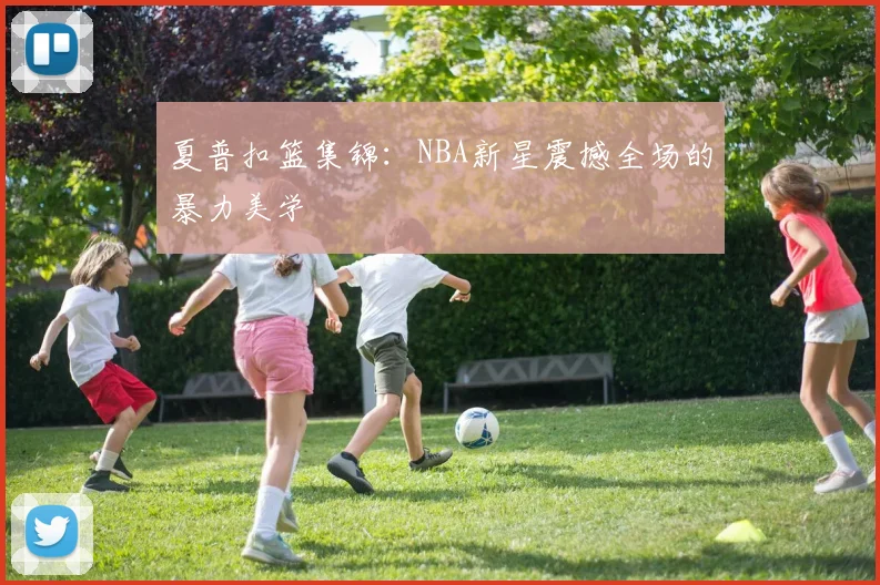 夏普扣篮集锦:NBA新星震撼全场的暴力美学